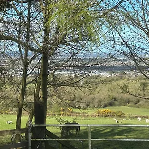 Cozy In A Barn With Farm View Dublin