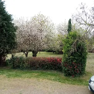 Chez Claudine Peaule